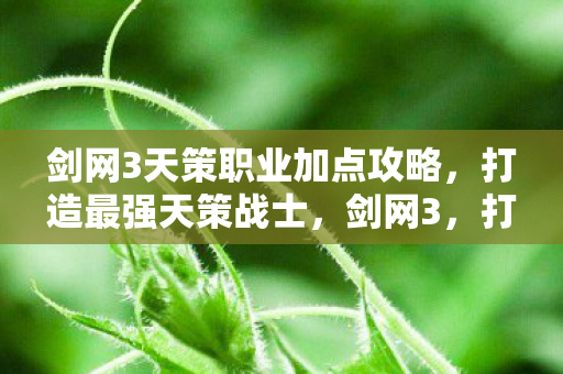剑网3天策职业加点攻略图片