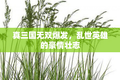 真三国无双爆发,乱世英雄的豪情壮志 真三国无双爆发,乱世英雄的豪情壮志