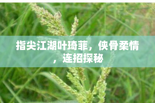 指尖江湖叶琦菲图片
