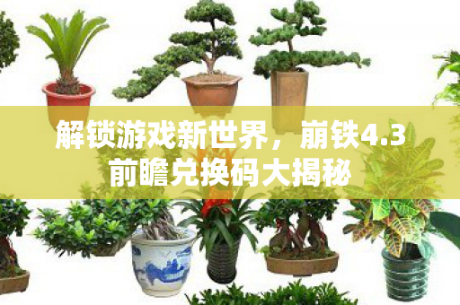 3前瞻兑换码大揭秘图片