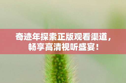 奇迹年探索正版观看渠道图片
