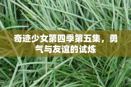 奇迹少女第四季第五集图片