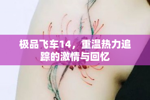 极品飞车14,重温热力追踪的激情与回忆 极品飞车14,重温热力追踪的激情与回忆