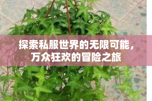 探索私服世界的无限可能,万众狂欢的冒险之旅 探索私服世界的无限可能,万众狂欢的冒险之旅