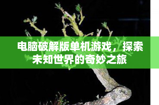电脑破解版单机游戏,探索未知世界的奇妙之旅 电脑破解版单机游戏,探索未知世界的奇妙之旅