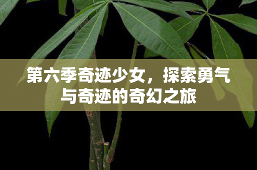 探索勇气与奇迹的奇幻之旅图片