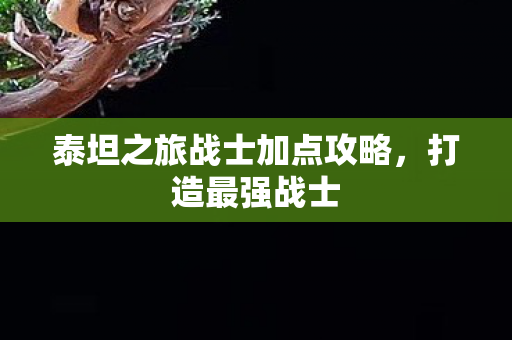 泰坦之旅战士加点攻略图片
