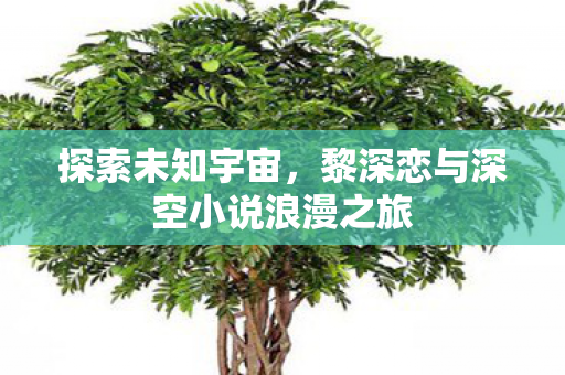 黎深恋与深空小说浪漫之旅图片