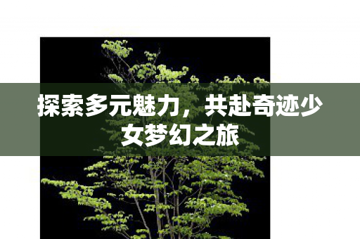 共赴奇迹少女梦幻之旅图片