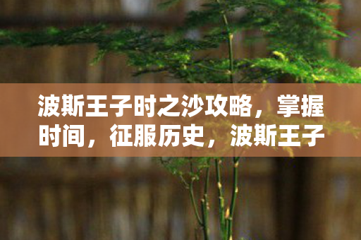 征服历史的时之沙攻略图片