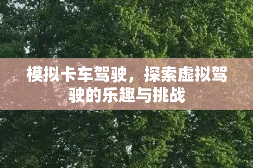 模拟卡车驾驶,探索虚拟驾驶的乐趣与挑战 模拟卡车驾驶,探索虚拟驾驶的乐趣与挑战