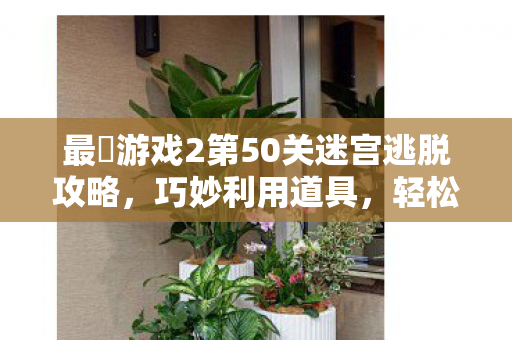 最囧游戏2第50关迷宫逃脱攻略,巧妙利用道具,轻松过关 最囧游戏2第50关迷宫逃脱攻略,巧妙利用道具,轻松过关