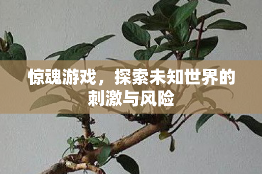 惊魂游戏,探索未知世界的刺激与风险 惊魂游戏,探索未知世界的刺激与风险
