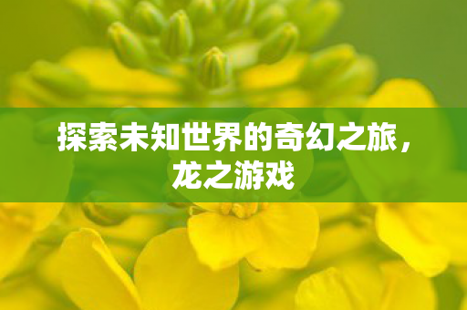探索未知世界的奇幻之旅，龙之游戏