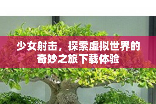少女射击,探索虚拟世界的奇妙之旅下载体验 少女射击,探索虚拟世界的奇妙之旅下载体验