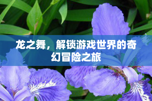 解锁游戏世界的奇幻冒险之旅图片