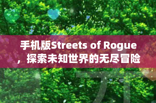 手机版Streets of Rogue,探索未知世界的无尽冒险 手机版Streets of Rogue,探索未知世界的无尽冒险