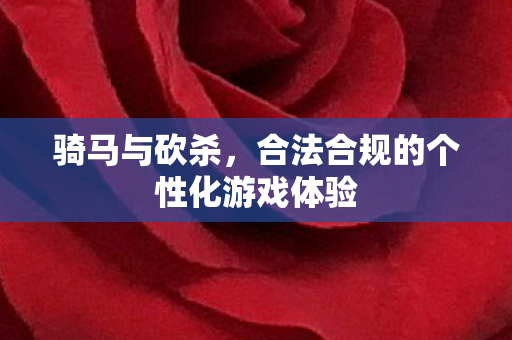 骑马与砍杀,合法合规的个性化游戏体验 骑马与砍杀,合法合规的个性化游戏体验