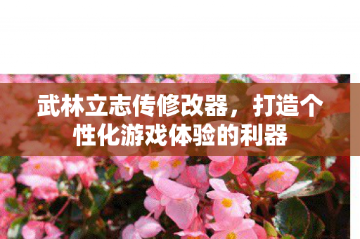 武林立志传修改器,打造个性化游戏体验的利器 武林立志传修改器,打造个性化游戏体验的利器