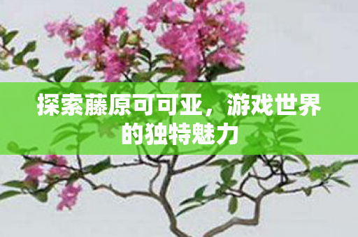 探索藤原可可亚,游戏世界的独特魅力 探索藤原可可亚,游戏世界的独特魅力