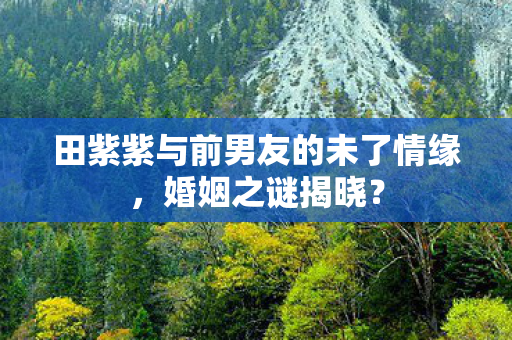 田紫紫与前男友的未了情缘,婚姻之谜揭晓? 田紫紫与前男友的未了情缘,婚姻之谜揭晓?