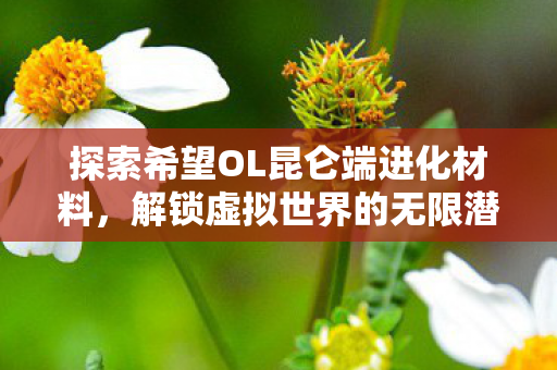 探索希望OL昆仑端进化材料,解锁虚拟世界的无限潜能 探索希望OL昆仑端进化材料,解锁虚拟世界的无限潜能