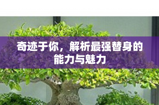 解析最强替身的能力与魅力图片
