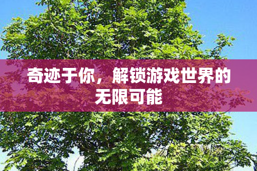 奇迹于你,解锁游戏世界的无限可能 奇迹于你,解锁游戏世界的无限可能