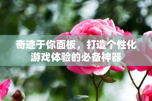 打造个性化游戏体验的必备神器图片