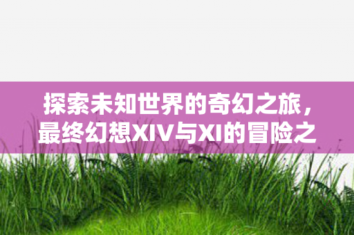 探索未知世界的奇幻之旅，最终幻想XIV与XI的冒险之旅