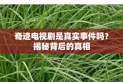 奇迹电视剧是真实事件吗图片
