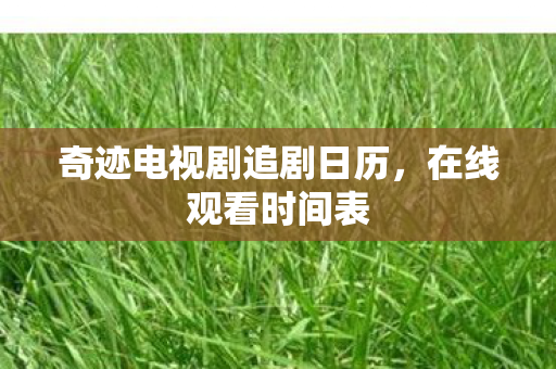 奇迹电视剧追剧日历图片