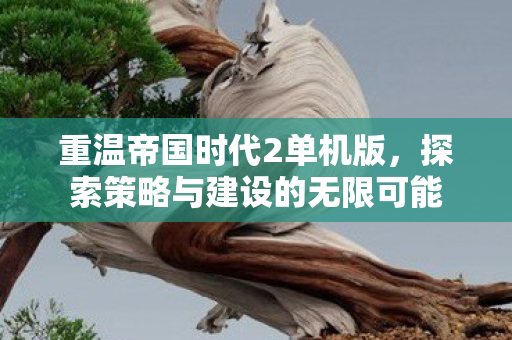 探索策略与建设的无限可能图片