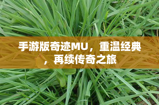手游版奇迹MU图片