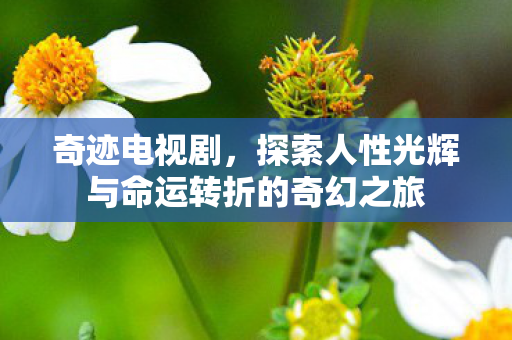 探索人性光辉与命运转折的奇幻之旅图片