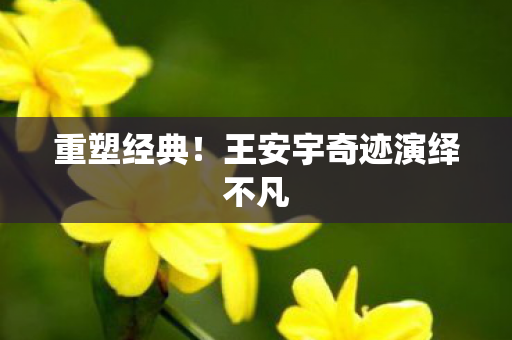 王安宇奇迹演绎不凡图片