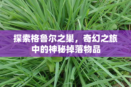 奇幻之旅中的神秘掉落物品图片