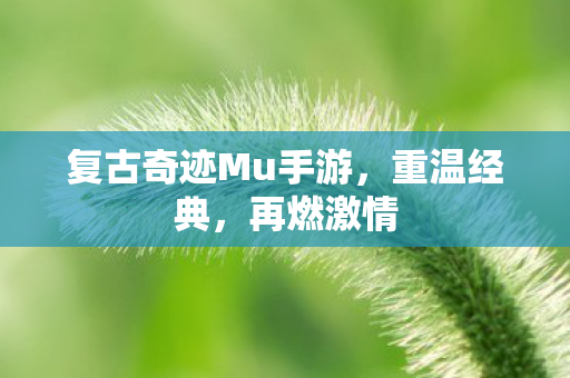 复古奇迹Mu手游图片