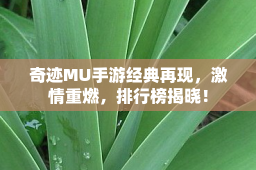 奇迹MU手游经典再现图片
