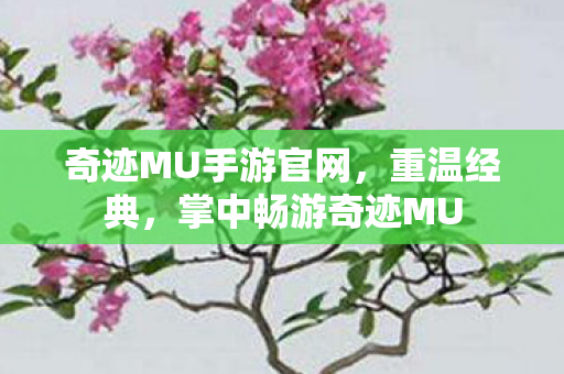奇迹MU手游官网图片