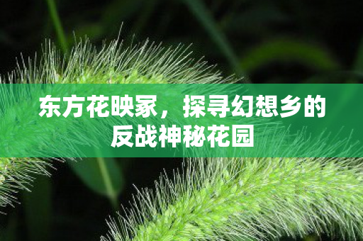 探寻幻想乡的反战神秘花园图片
