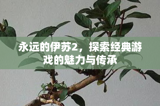 永远的伊苏2,探索经典游戏的魅力与传承 永远的伊苏2,探索经典游戏的魅力与传承
