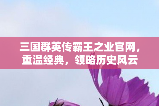 三国群英传霸王之业官网图片