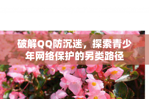 破解QQ防沉迷,探索青少年网络保护的另类路径 破解QQ防沉迷,探索青少年网络保护的另类路径