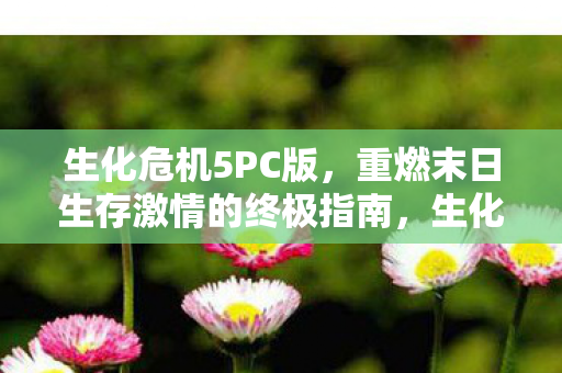 生化危机5PC版,重燃末日生存激情的终极指南,生化危机5PC版,重燃末日生存激情的终极指南 生化危机5PC版,重燃末日生存激情的终极指南,生化危机5PC版,重燃末日生存激情的终极指南