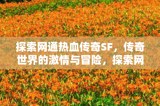 传奇世界的激情与冒险之旅图片