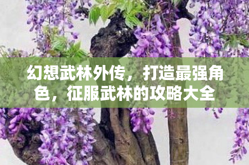 征服武林的攻略大全图片