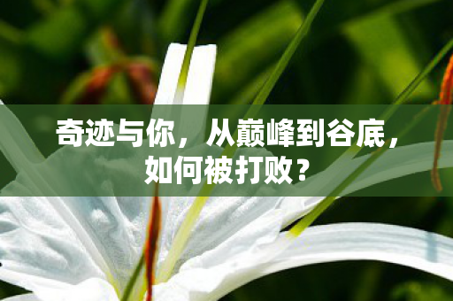 从巅峰到谷底图片