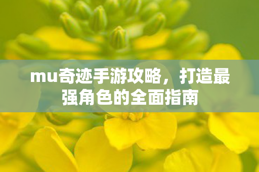 打造最强角色的全面指南图片