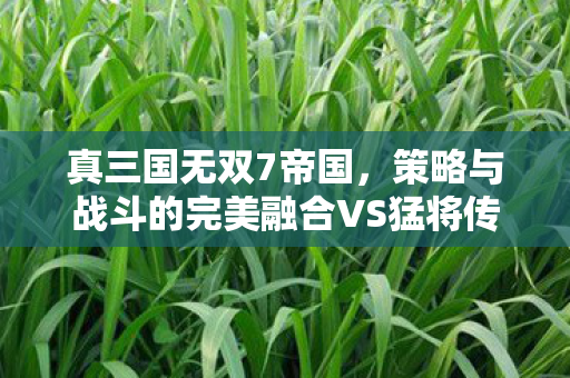 真三国无双7帝国,策略与战斗的完美融合VS猛将传 真三国无双7帝国,策略与战斗的完美融合VS猛将传